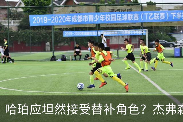 哈珀应坦然接受替补角色？杰弗森：哈登唯一打进总决赛时是第六人